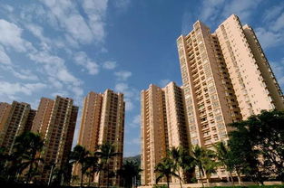 淺析廈門市住房租賃市場(chǎng)的發(fā)展趨勢(shì)